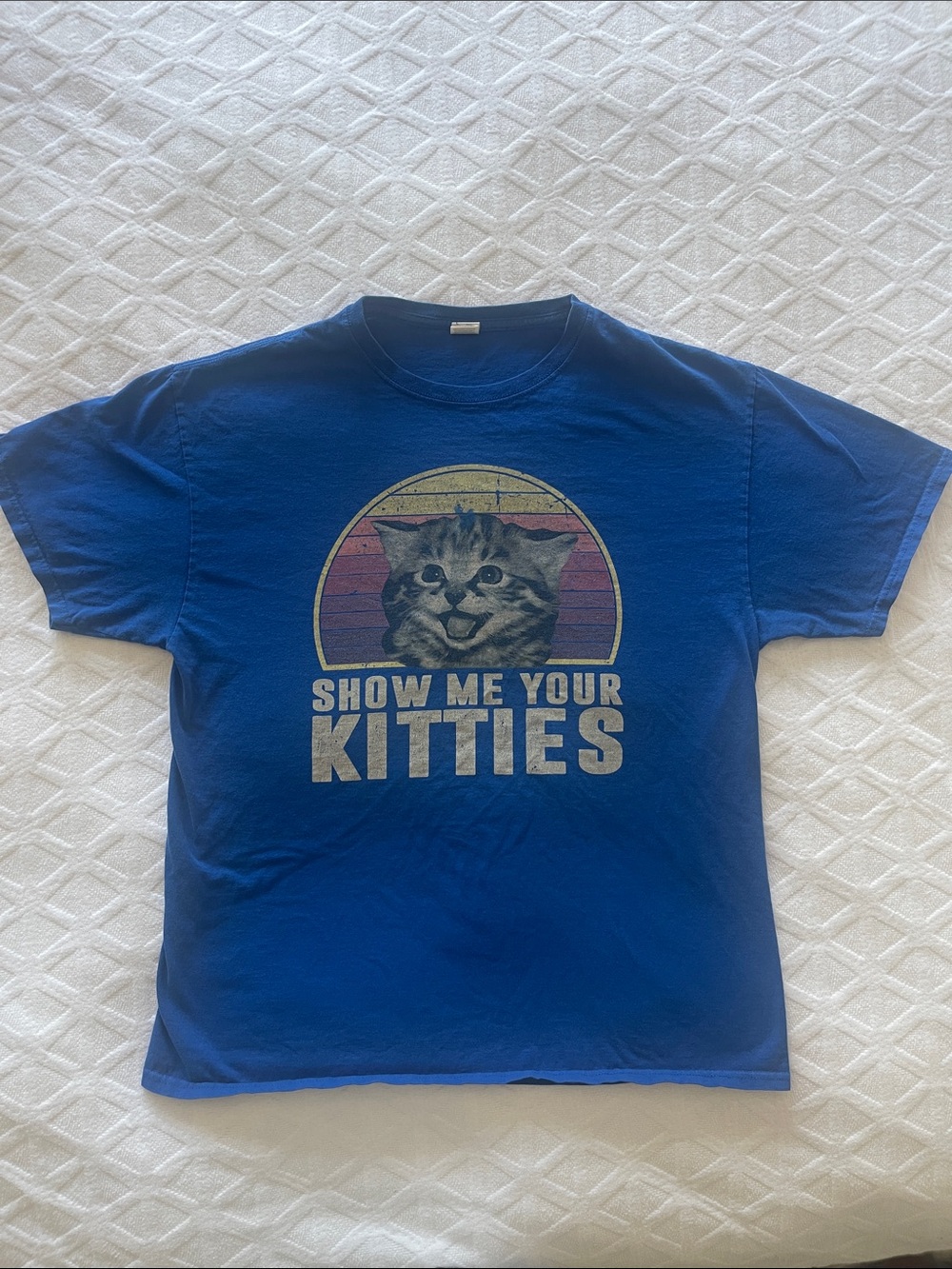 Fruit of the Loom Blue 'Show Me Your Kitties' Graphic Tee
